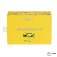 Pillowcase - Minions & Monsters - Seeing Stars - King