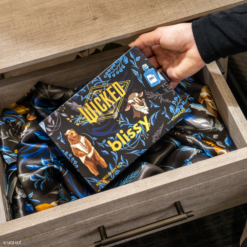 Pillowcase - Wicked™ - Find Your Courage - Elphaba - King