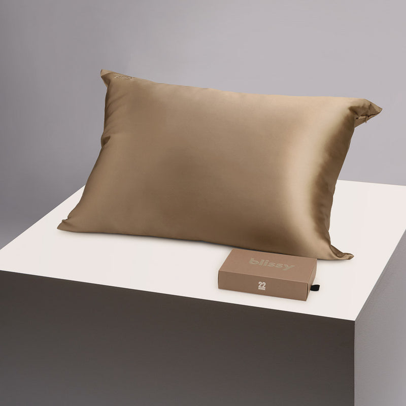 Pillowcase - Taupe - Standard - Blissy Standard Taupe Pillowcase – 22 Momme Mulberry Silk, 100% Silk